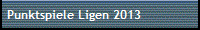 Punktspiele Ligen 2013
